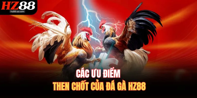 Các ưu điểm then chốt của đá gà HZ88